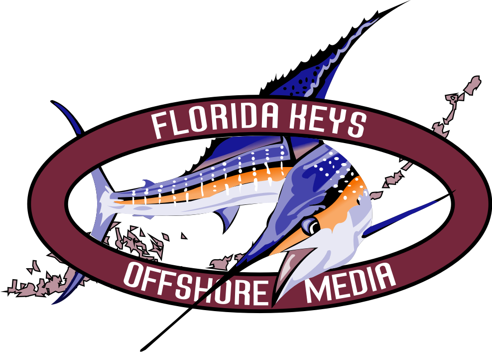 sharks in florida. Florida+keys+sharks